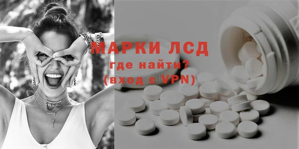 шишки Беломорск