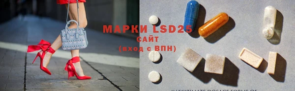 ГАЛЛЮЦИНОГЕННЫЕ ГРИБЫ Бородино