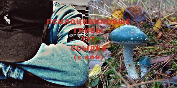 стаф Семёнов