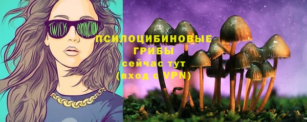 дурь Богородск