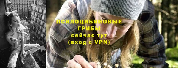 стаф Семилуки