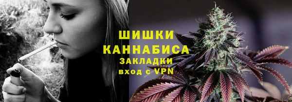 ГАЛЛЮЦИНОГЕННЫЕ ГРИБЫ Бородино